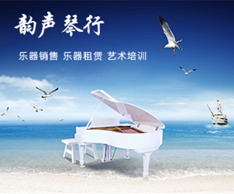在众多乐器品牌中，哪个品牌最值得信赖？让我们通过对比分析来揭晓答案。
