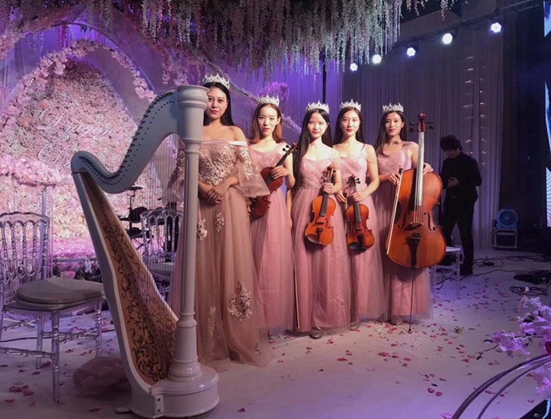 钢琴品牌的抉择：如何挑选适合的乐器